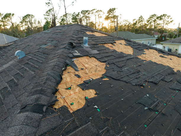 Trusted Lovettsville, VA Roofing Service Experts