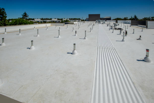 Best Cold Roofs  in Lovettsville, VA